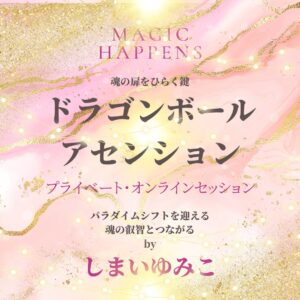 しまいゆみこ　ドラゴンボール 横浜ナディア　個人セッション